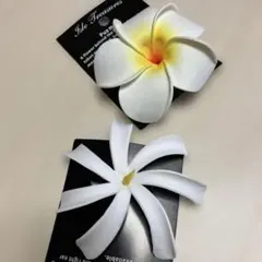 Item thumbnail for item 79044154-0c3f-4d95-9956-33e0a4062598