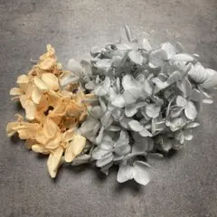 プリザーブドフラワー 花材 No.96アジサイ