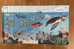 Item thumbnail for item d06f83b7-f4f4-4d7d-92d7-509540b9e897