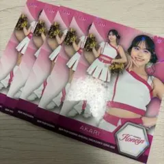 BBM honeys AKARI