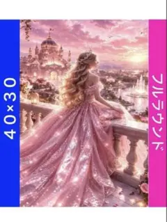 N-2131プリンセス ダイヤモンドアートキット ビーズ アート ハンドメイド