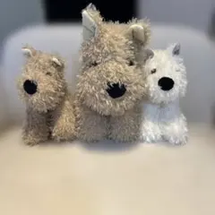 アズノゥアズデワン 犬ぬいぐるみセット（ベージュ・白） アズノゥアズデワン 犬ぬいぐるみセット（ベージュ・白） - メルカリ