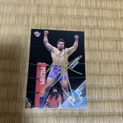 Item thumbnail for item 78e39bc5-bcff-4c42-a2f6-d9b7994179f7