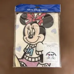 東京ディズニーリゾート ミニー＆ミッキー のれんのサムネイル
