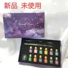 ガラスペンセット インク12本 ペン2本 サインペン 万年筆 ボックス付き