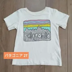 Patagonia パタゴニア 半袖 Tシャツ 2T 90cm 保育園着のサムネイル