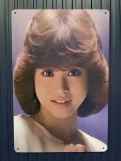 昭和 レトロ 看板 昭和の歌姫 松田聖子さん - メルカリ