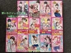 野いちごジュニア文庫