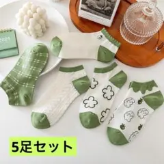 可愛いグリーン＆ホワイト靴下5足セット