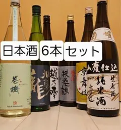 厳選日本酒1升瓶6本セット2026年5月入荷分 - メルカリ