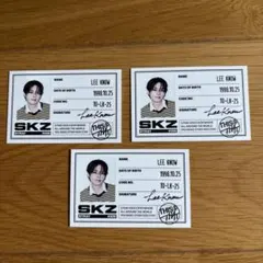 straykids This&That THISver. 封入　ID リノ