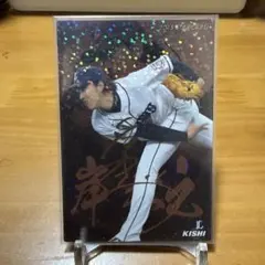 プロ野球チップス カルビー プロ野球カード 立浪和義 中日ドラゴンズ