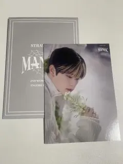 straykids スンミン