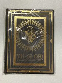 遊戯王 9ポケットバインダー ビクトリーカーニバル 2021TVアドベンチャー