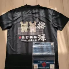 Item thumbnail for item c57d1ffa-abb5-4e4b-9a2d-480848da56e1