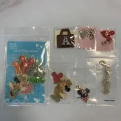 東京ディズニーランド 30周年 バルーンバッグチャーム