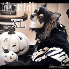 Item thumbnail for item e164f544-665c-40e8-8469-dd33f8585a07