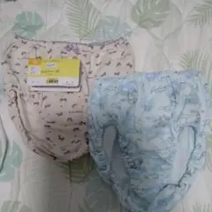 女の子用ショーツ160cm
