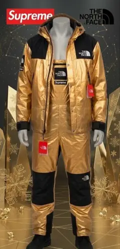 Supreme NORTHFACE オーバーオール マウンテンパーカー セット