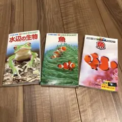 NEO POCKET 水辺の生物・魚 3冊セット