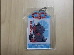 UMAbred DMMスクラッチ D賞 お守り風アクリルチャーム ゴールドシップ