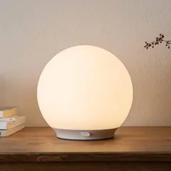 r*n様 ニトリ　LEDボールランプのサムネイル