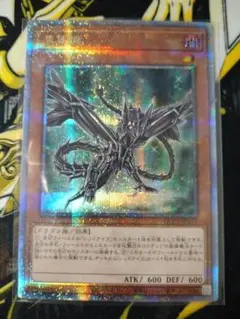 黒鋼竜 25th