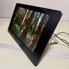 【美品】Wacom Cintiq Pro 24 ペンモデル DTK-2420