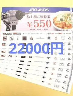 アークランズ　株主優待　22000円　550円×40枚　かつや　ビバホームのサムネイル