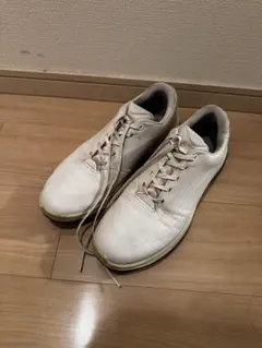 ECCO LT1 Lace ゴルフシューズ 44のサムネイル