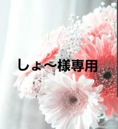 Item thumbnail for item 63acf12e-bdc8-4af7-b043-d11036b7c486