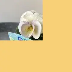 MIYABI様 リクエスト 4点 まとめ商品