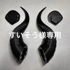 すいそう様専用のサムネイル