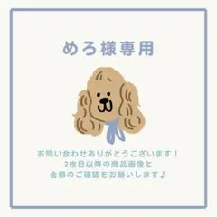 めろ様 リクエスト 2点 まとめ商品