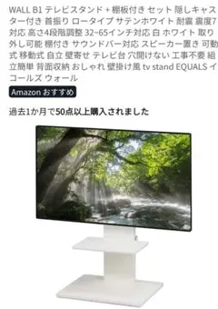 EQUALS WALL B1 テレビスタンド 棚板付き ロータイプ