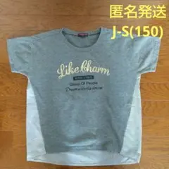 【匿名発送】SKY BOMBER MINI Tシャツ グレー ストライプ J-S