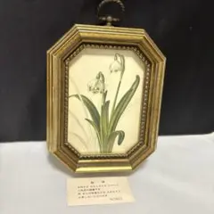 Item thumbnail for item 0e73be5e-e843-4431-88e1-0ed006358023