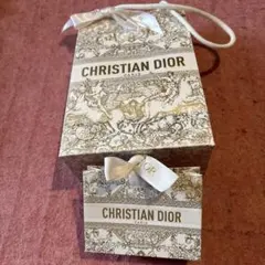 CHRISTIAN DIOR ギフトボックスセット　ショップ袋　プレゼントに最適