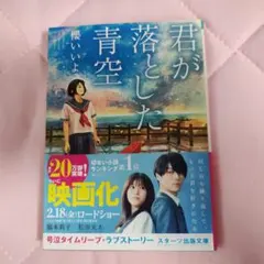 【匿名配送】君が落とした青空(文庫)