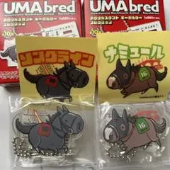 UMAbred アクキー ソングライン ナミュール BOX版ステッカー付き