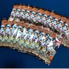 シャーマンキングコレクターズカード★新品未開封パック／20パックセット（外箱付）