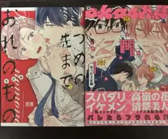 商業BL漫画 まとめ売り 2冊セット