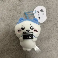 ハチワレぬいぐるみチャーム