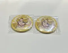 カラフルピーチ　たっつん　缶バッジ　ウィンターフェア　2個