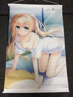 リリカルなのは B2 ポスター ゲーマーズ 特典 フェイト アインハルト 