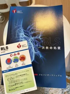 裁断済み】ACLSプロバイダーマニュアル 2020 - メルカリ