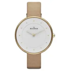 SKAGEN SKW2137 腕時計