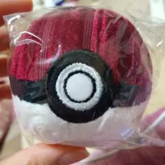 ポケモン モンスターボール キーホルダー
