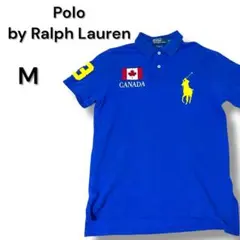 ワイルドダメージ　ポロバイラルフローレン　青ビッグポニー　カナダ国旗ポロシャツM