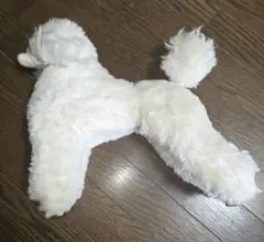 Mr.jiangトリミング練習用 ウィッグ 犬 ビションフリーゼ　フルボディ Mr.jiangトリミング練習用 ウィッグ 犬 ビションフリーゼ フルボディ
